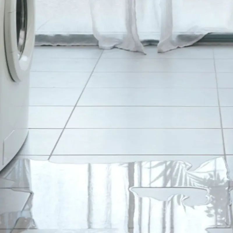 Appliance Leak Cleanup in Nowthen, MN