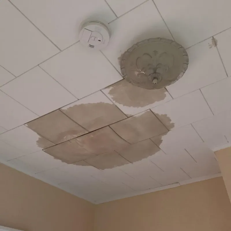 Ceiling Water Damage Repair in Nowthen, MN