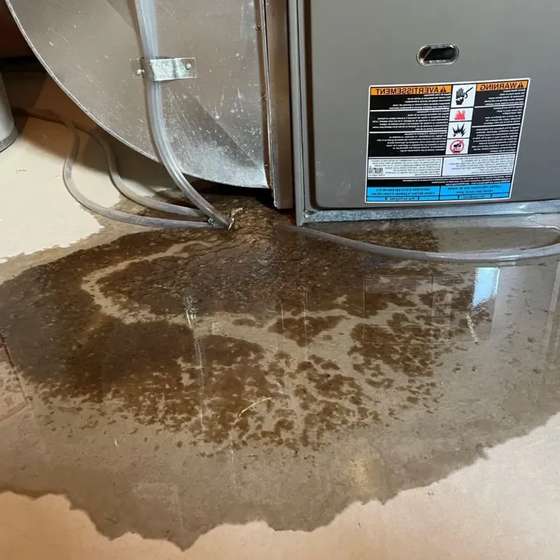 Pipe Burst and Leak Restoration in Nowthen, MN